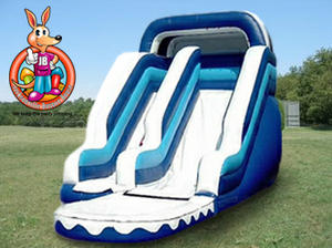 17' Ft. Blizzard Water Slide 17' Ft. Blizzard Water Slide