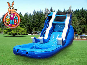 17' Ft. Dolphin Water slide 17' Ft. Dolphin Water slide